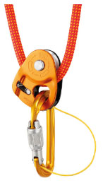 Petzl Sm'D connectec to Microtraxion