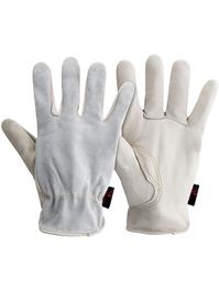 Predator Standard Drivers Gloves
