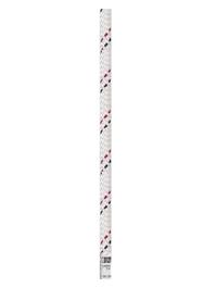 Beal 10.5mm Semi-static (Low Stretch) Industry Abseil Rope