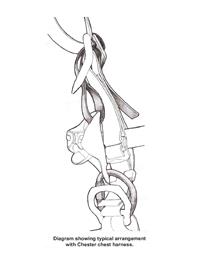 Lyon Croll Strap