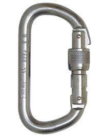 Foin 10mm Steel D Screwgate Karabiner