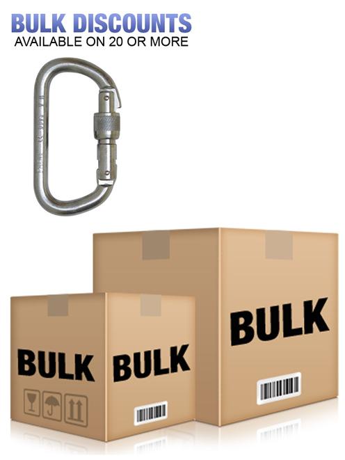 Foin 10mm Steel D Screwgate Karabiner